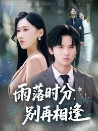 雨落时分别再相逢