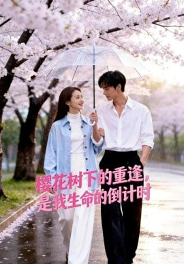 樱花树下的重逢，是我生命的倒计时